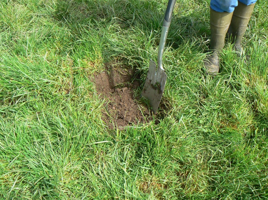 a person digging in the grass